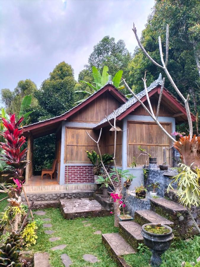 Friendly Homestay Lemukih 新加拉惹 外观 照片
