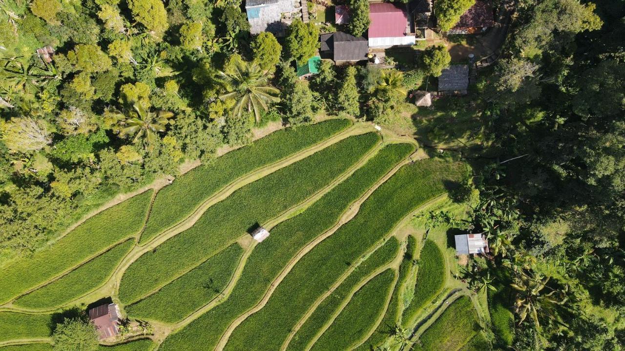 Friendly Homestay Lemukih 新加拉惹 外观 照片