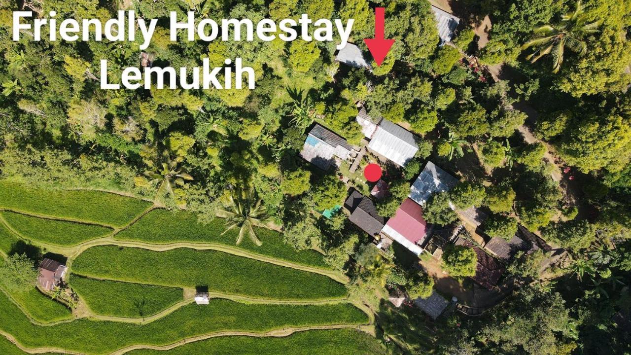 Friendly Homestay Lemukih 新加拉惹 外观 照片