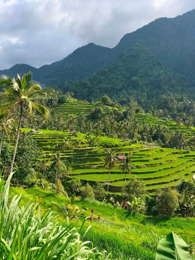 Friendly Homestay Lemukih 新加拉惹 外观 照片