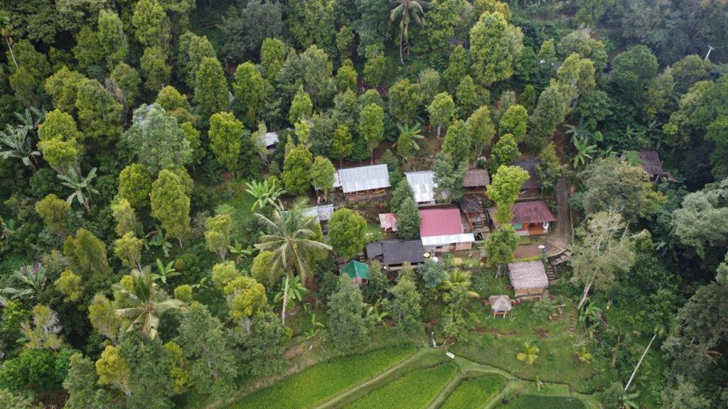 Friendly Homestay Lemukih 新加拉惹 外观 照片