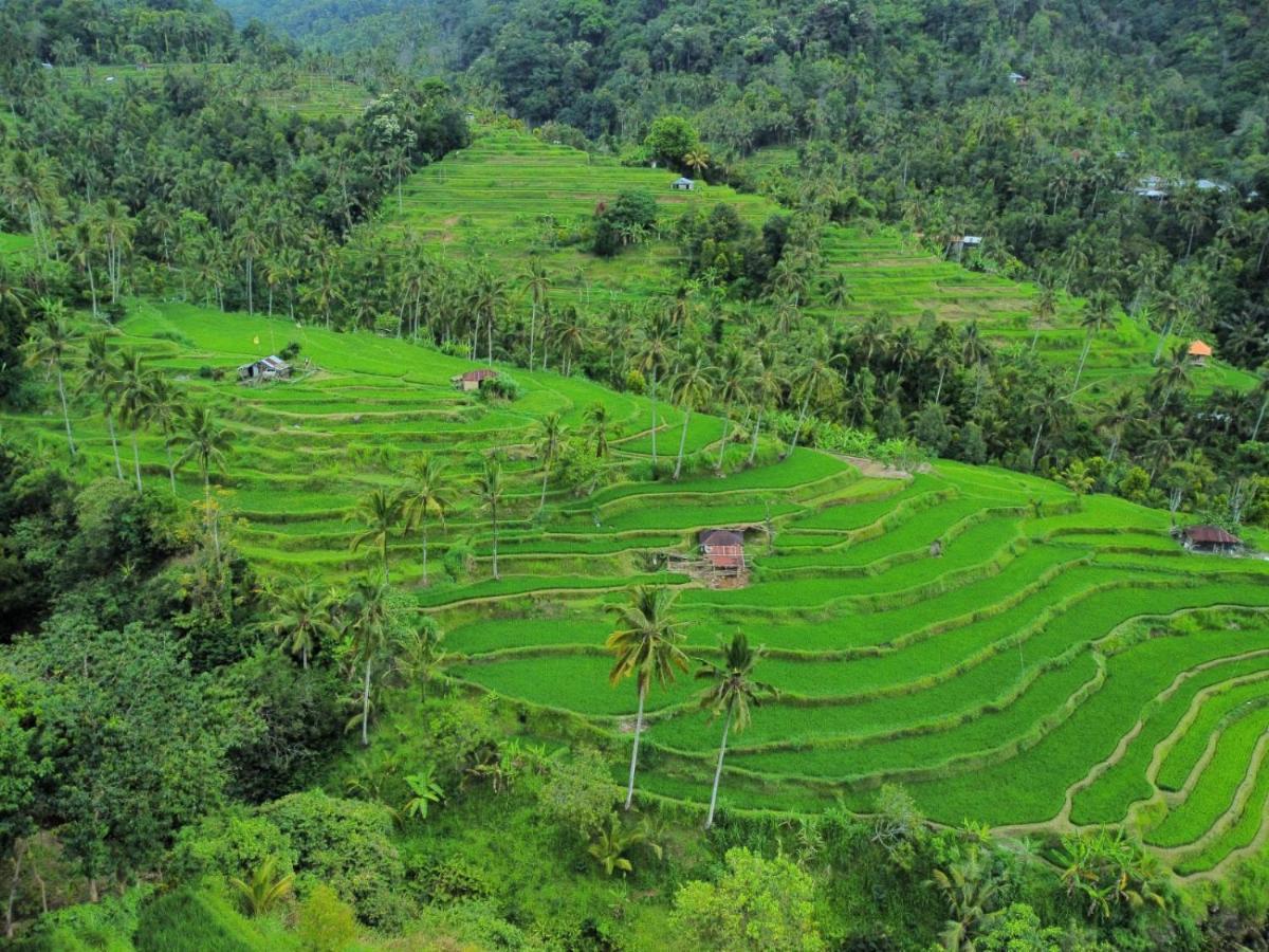 Friendly Homestay Lemukih 新加拉惹 外观 照片