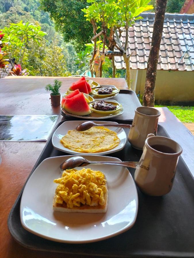 Friendly Homestay Lemukih 新加拉惹 外观 照片