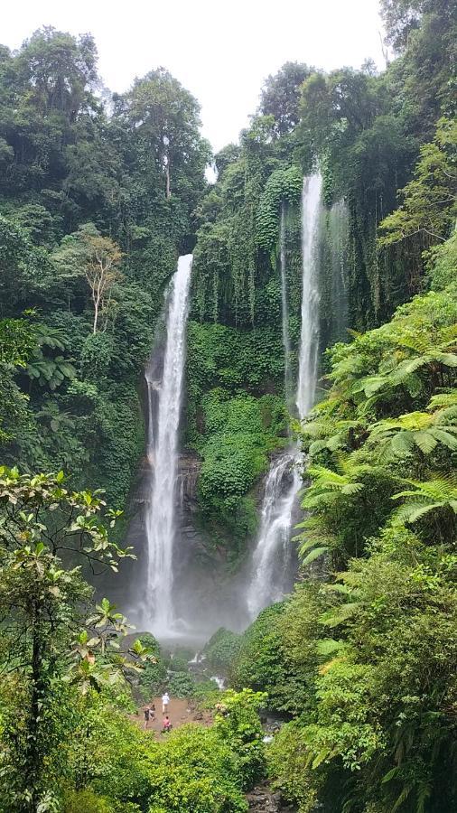 Friendly Homestay Lemukih 新加拉惹 外观 照片