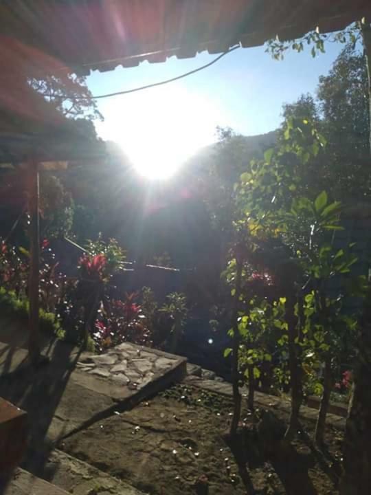 Friendly Homestay Lemukih 新加拉惹 外观 照片